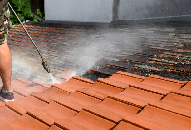 Best House Pressure Washing  in Munster, IN