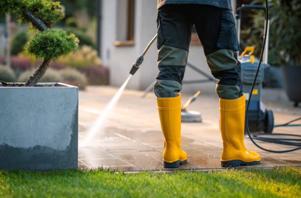 Best Pressure Washing Near Me  in Munster, IN